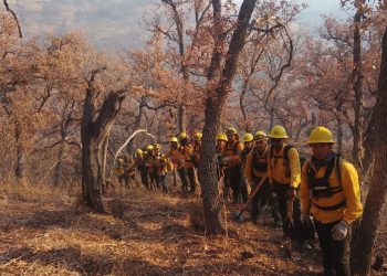 Gobierno de Sonora reporta 50 por ciento de control en incendio forestal en Yécora