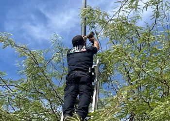 Asegura Gobierno de Sonora y SEMAR cámaras de videovigilancia durante operativo en Hermosillo