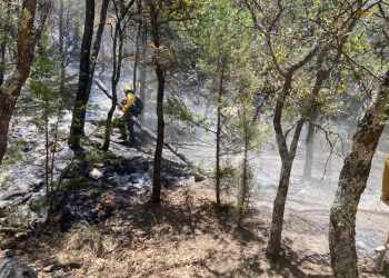 Gobierno de Sonora, en coordinación con instancias federales y municipales, mantiene combate a incendios forestales