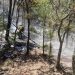 Gobierno de Sonora, en coordinación con instancias federales y municipales, mantiene combate a incendios forestales