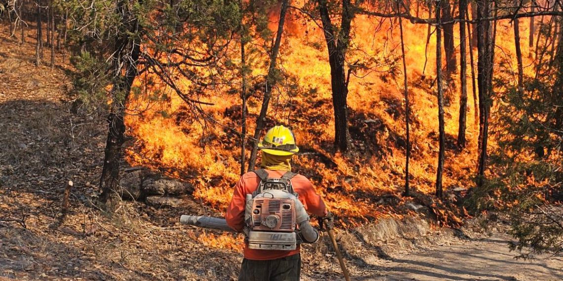 Avanza Gobierno de Sonora en el combate al incendio forestal en Nácori Chico