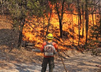 Avanza Gobierno de Sonora en el combate al incendio forestal en Nácori Chico