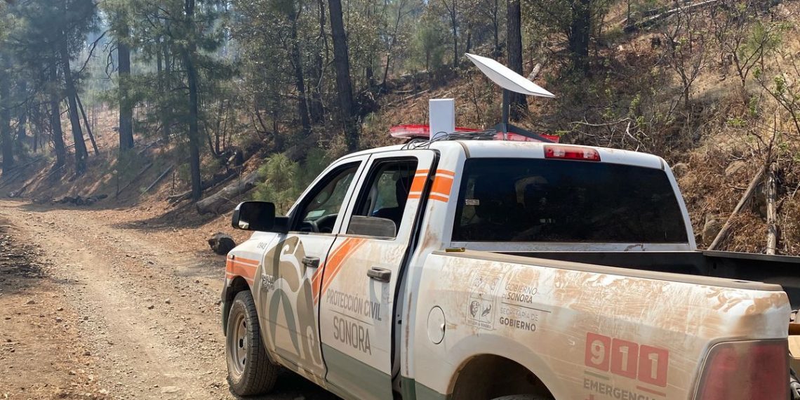 Gobierno de Sonora atiende incendio forestal en Nácori Chico; no hay daños a población ni a ranchos