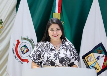 Diputada Deni Gastélum propone crear la figura de divorcio sin expresión de causa.