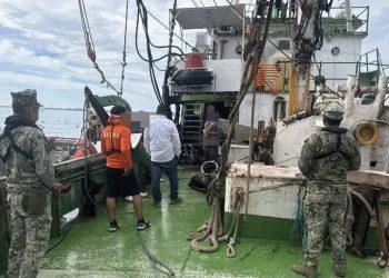 Marina asegura buque de Guaymas con 62 ejemplares de tiburón y cuatro de mantarraya