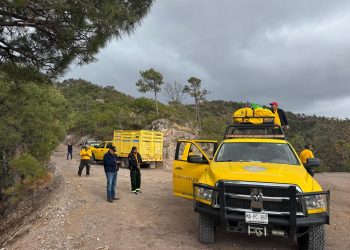 Siguen trabajando brigadistas para sofocar incendio en Nácori Chico