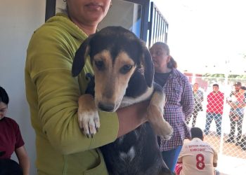 Beneficia Gobierno de Sonora la salud animal con jornada de esterilización en Empalme