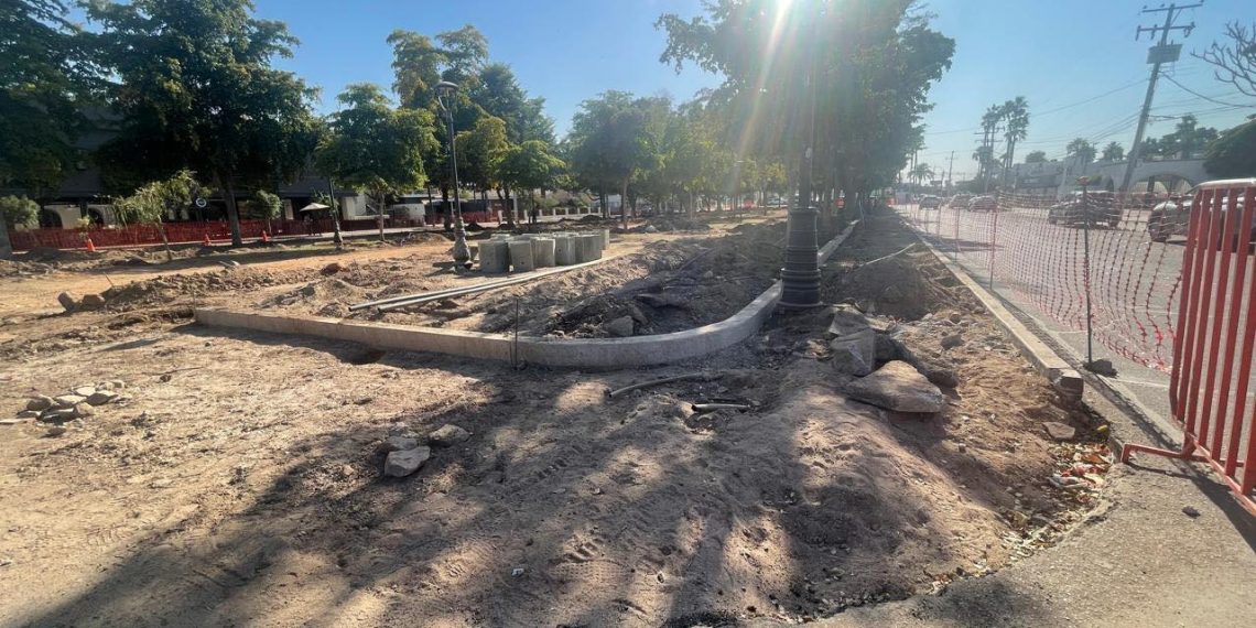 ¿Cómo vamos con el medio ambiente en Hermosillo?