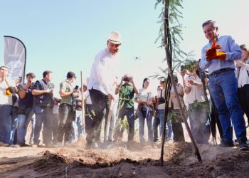 Gobernador Durazo proyecta legado ambiental con plantación de más de 4 mil árboles en La Sauceda