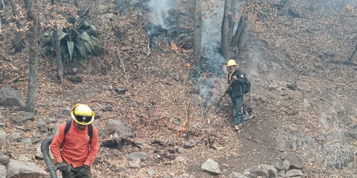 Mantiene Gobierno de Sonora coordinación para sofocar incendio en Nácori Chico
