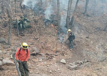 Mantiene Gobierno de Sonora coordinación para sofocar incendio en Nácori Chico