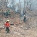 Mantiene Gobierno de Sonora coordinación para sofocar incendio en Nácori Chico