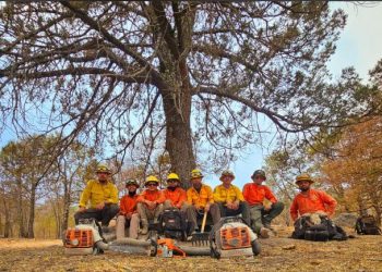 Gobierno de Sonora reporta 50 por ciento de control en incendio forestal en Yécora