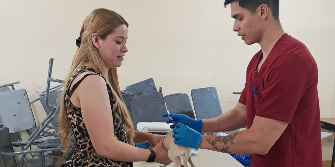 Beneficia Gobierno de Sonora salud animal con jornada de bienestar en Banámichi