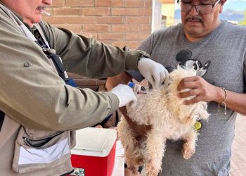 Gobierno de Sonora lleva servicios de salud preventiva a través de clínicas móviles