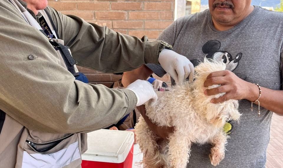 Gobierno de Sonora lleva servicios de salud preventiva a través de clínicas móviles