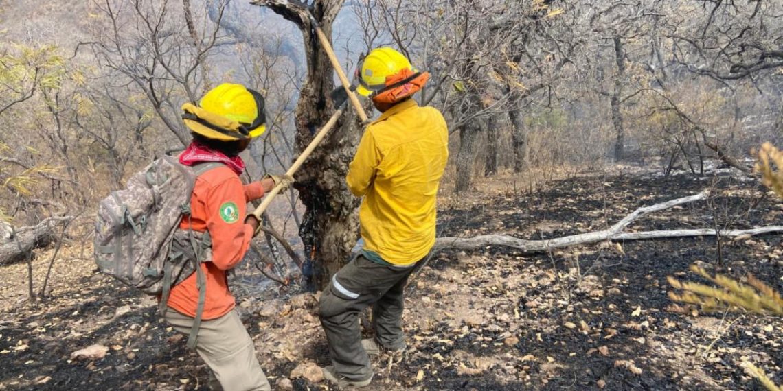 Gobierno de Sonora informa liquidación de incendio en Bavispe con apoyo de instancias federales y municipales