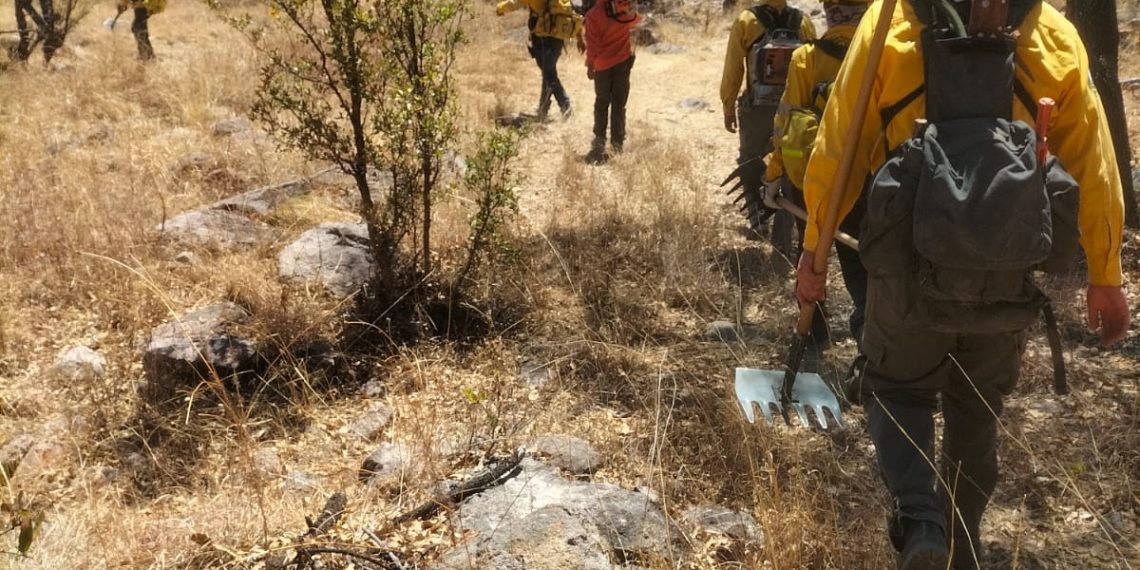 Liquida Gobierno de Sonora incendio forestal en Yécora en coordinación con autoridades federales y municipales