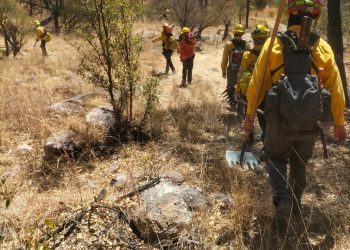 Liquida Gobierno de Sonora incendio forestal en Yécora en coordinación con autoridades federales y municipales