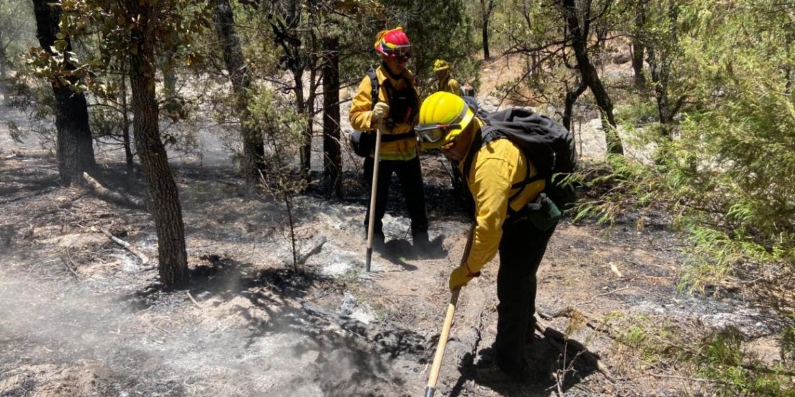 Gobierno de Sonora combate incendio forestal en Arizpe