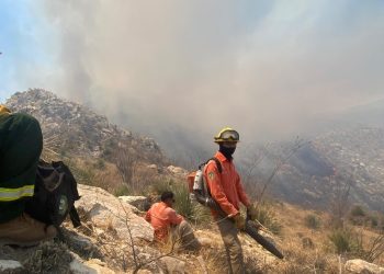 Gobierno de Sonora sofoca incendio forestal en Tubutama
