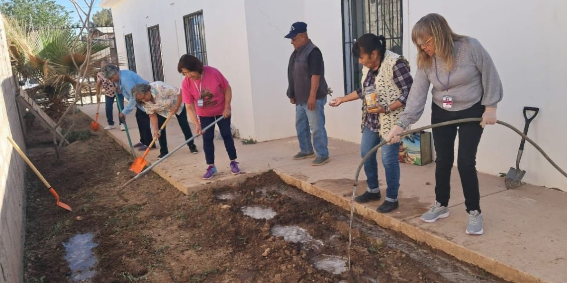 Promueve Gobierno de Sonora Fomentando el Envejecimiento Activo