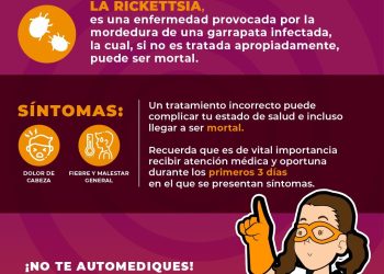 Exhorta Gobierno de Sonora a detectar a tiempo la rickettsiosis para una atención oportuna