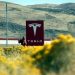 Sube Tesla ante alivio de tensiones entre Trump y Musk