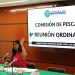 Comisión emite opinión a tres iniciativas orientadas a mejorar al sector pesquero