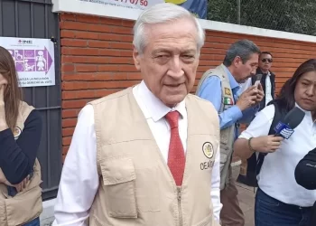 Reporta OEA nivel lento de participación en elección