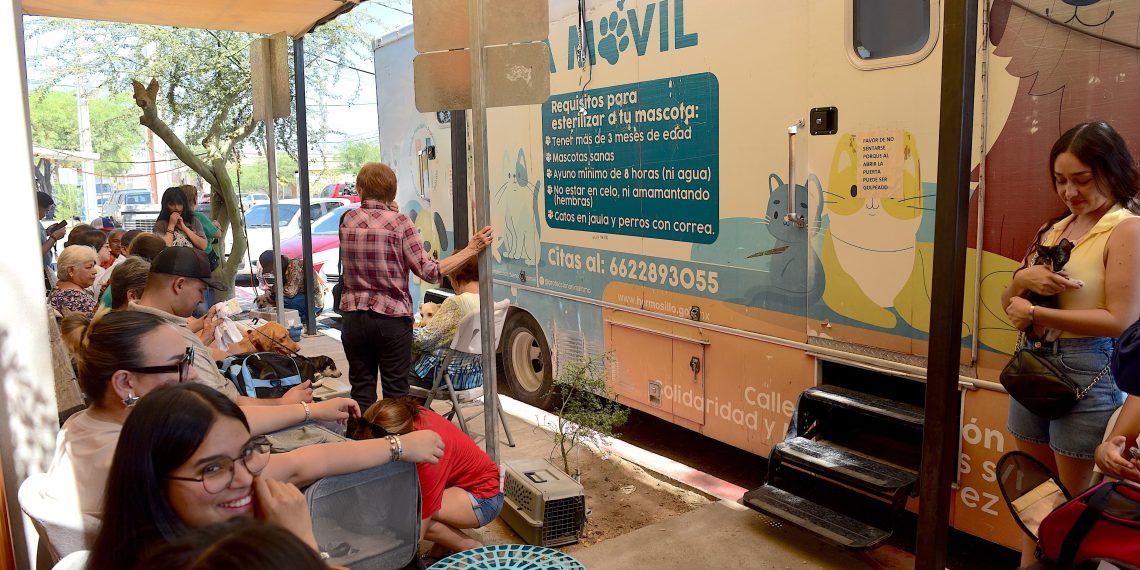 Se capacitan en Argentina veterinarios del Instituto de Protección y Bienestar Animal con innovadora técnica de castración para duplicar cirugías en jornadas gratuitas