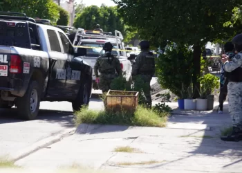 Asesinan a mujer en la colonia Cortinas de Ciudad Obregón