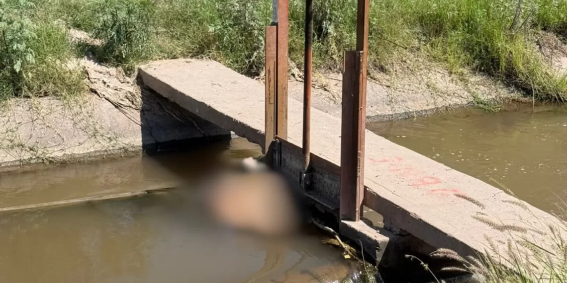 Hallan cu3rpo en canal que corre de Loma de Guamúchil a Bácum