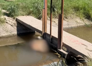 Hallan cu3rpo en canal que corre de Loma de Guamúchil a Bácum