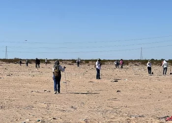 Localizan 12 osamentas en Sonoyta tras rastreo de colectivos de búsqueda