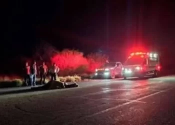 Mujer policía muere tras chocar contra un caballo en carretera a Bahía de Kino