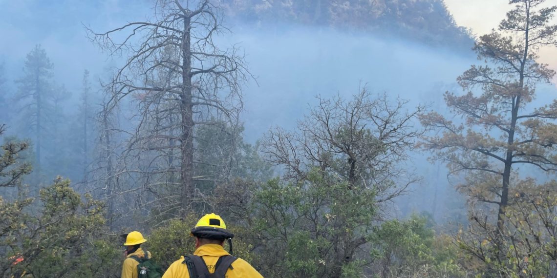 Gobierno de Sonora logra importante avance en el control y liquidación del incendio forestal en Agua Prieta