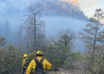 Gobierno de Sonora logra importante avance en el control y liquidación del incendio forestal en Agua Prieta