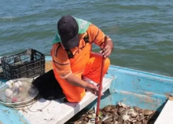 Pescadores de Empalme y Guaymas esperan alivio económico con temporada de jaiba
