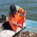 Pescadores de Empalme y Guaymas esperan alivio económico con temporada de jaiba