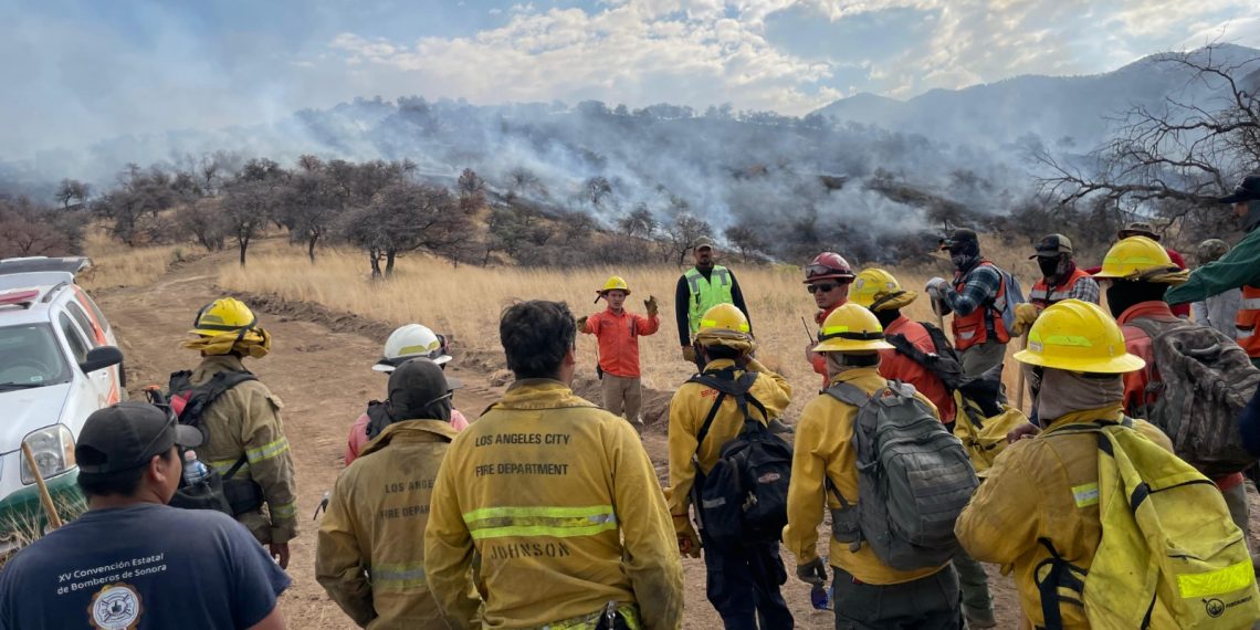 Logra Gobierno de Sonora importante avance en el control del incendio forestal en la Sierra Los Ajos