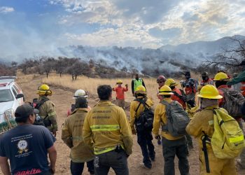 Logra Gobierno de Sonora importante avance en el control del incendio forestal en la Sierra Los Ajos