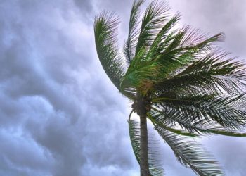Depresión tropical Dos se forma en el Golfo de México