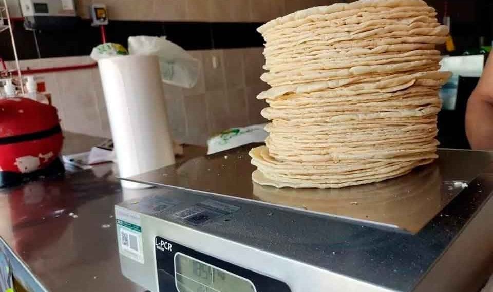 Ven difícil congelar precio de la tortilla