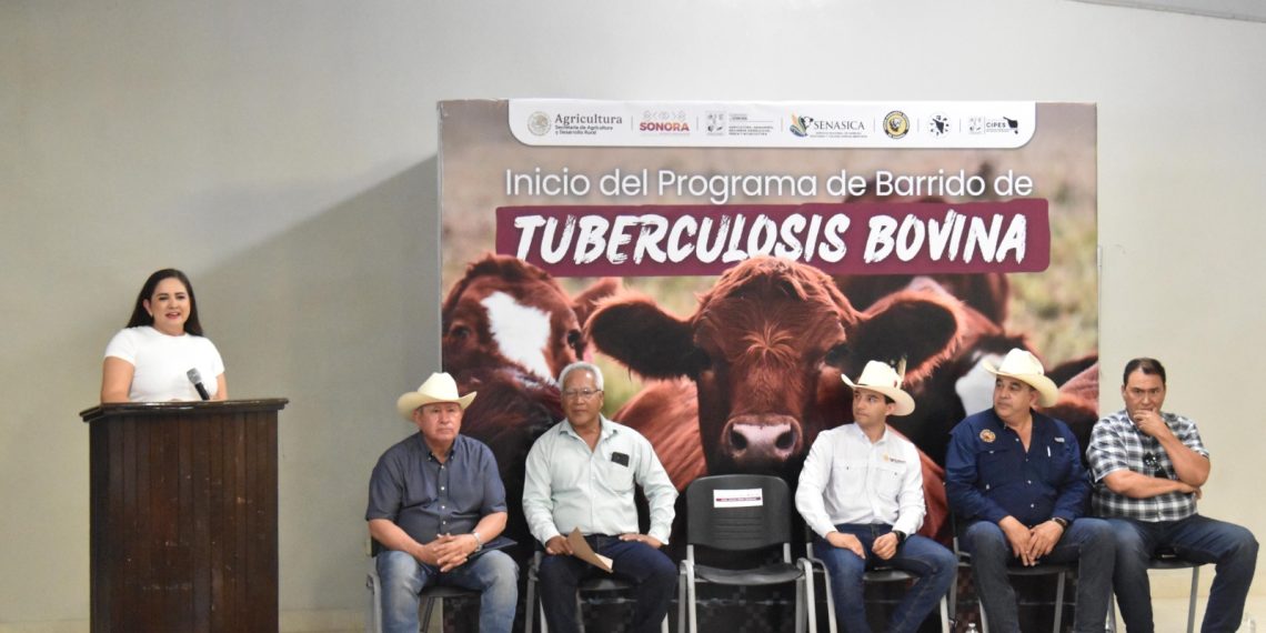 Gobierno de Sonora inicia barrido sanitario para detección de tuberculosis bovina en San Ignacio Río Muerto