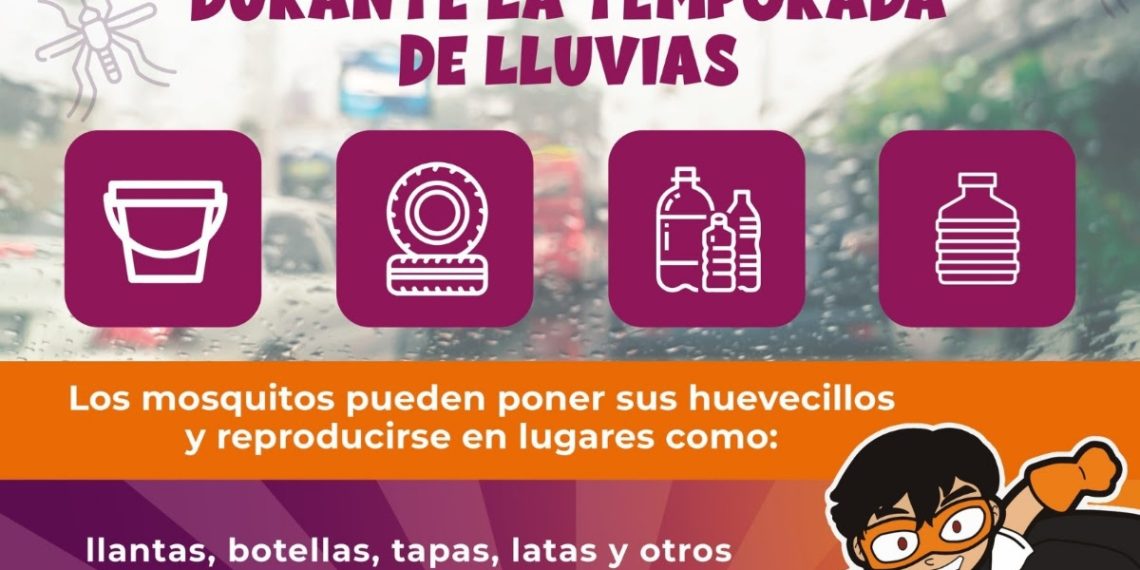 Ante la llegada de las lluvias, el Gobierno de Sonora refuerza acciones para prevenir el dengue