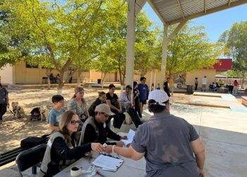 Asegura Gobierno de Sonora armas de réplica, narcótico y equipo de comunicación en Hermosillo