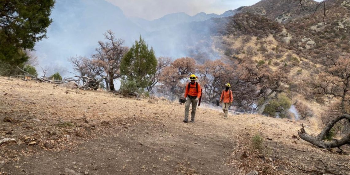 Gobierno de Sonora llama a la población a prevenir los incendios forestales