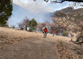 Gobierno de Sonora llama a la población a prevenir los incendios forestales