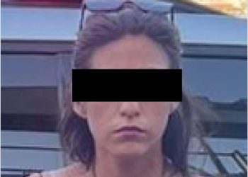 Colabora K-9 del Gobierno de Sonora en aseguramientos de narcóticos en Hermosillo